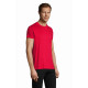 Tshirts Regent Fit taglio aderente personalizzabili