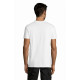 Magliette e T-shirt serigrafate Magliette e T-shirt serigrafate