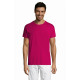 Magliette e T-shirt serigrafate Magliette e T-shirt serigrafate