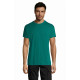 Magliette e T-shirt serigrafate Magliette e T-shirt serigrafate