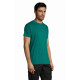 Magliette e T-shirt serigrafate Magliette e T-shirt serigrafate