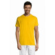 Magliette e T-shirt serigrafate Magliette e T-shirt serigrafate